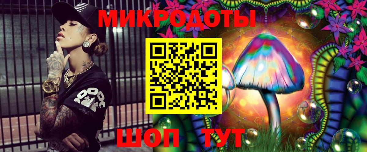 Псилоцибиновые грибы Cubensis Черняховск