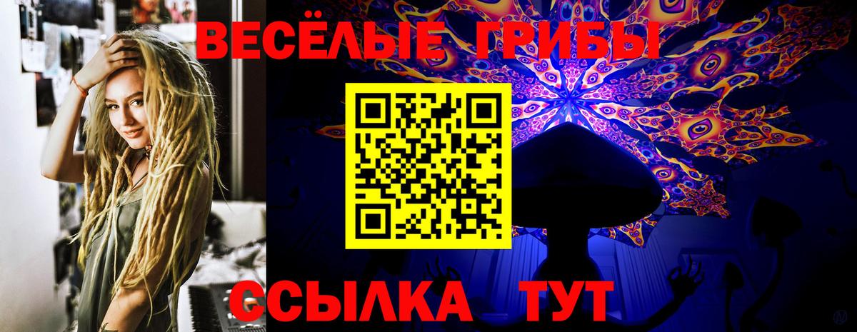 как найти закладки  Вход с VPN  Черняховск  Псилоцибиновые грибы прущие грибы 