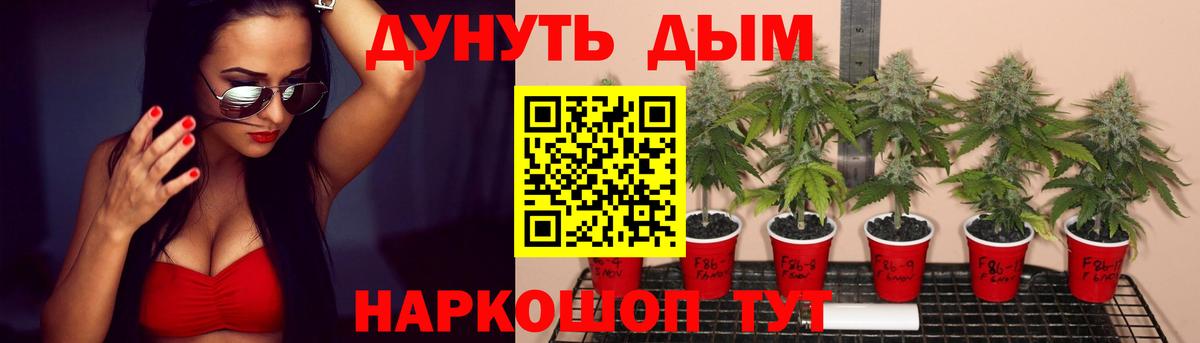 Черняховск  Бошки марихуана индика  Вход с VPN  Канабис White Widow 